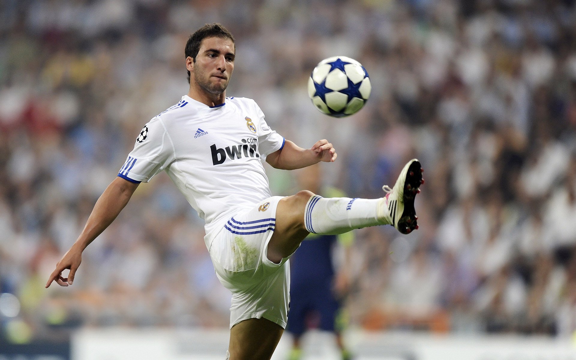 九游体验-球员职业规划缺失，职业球员的素养