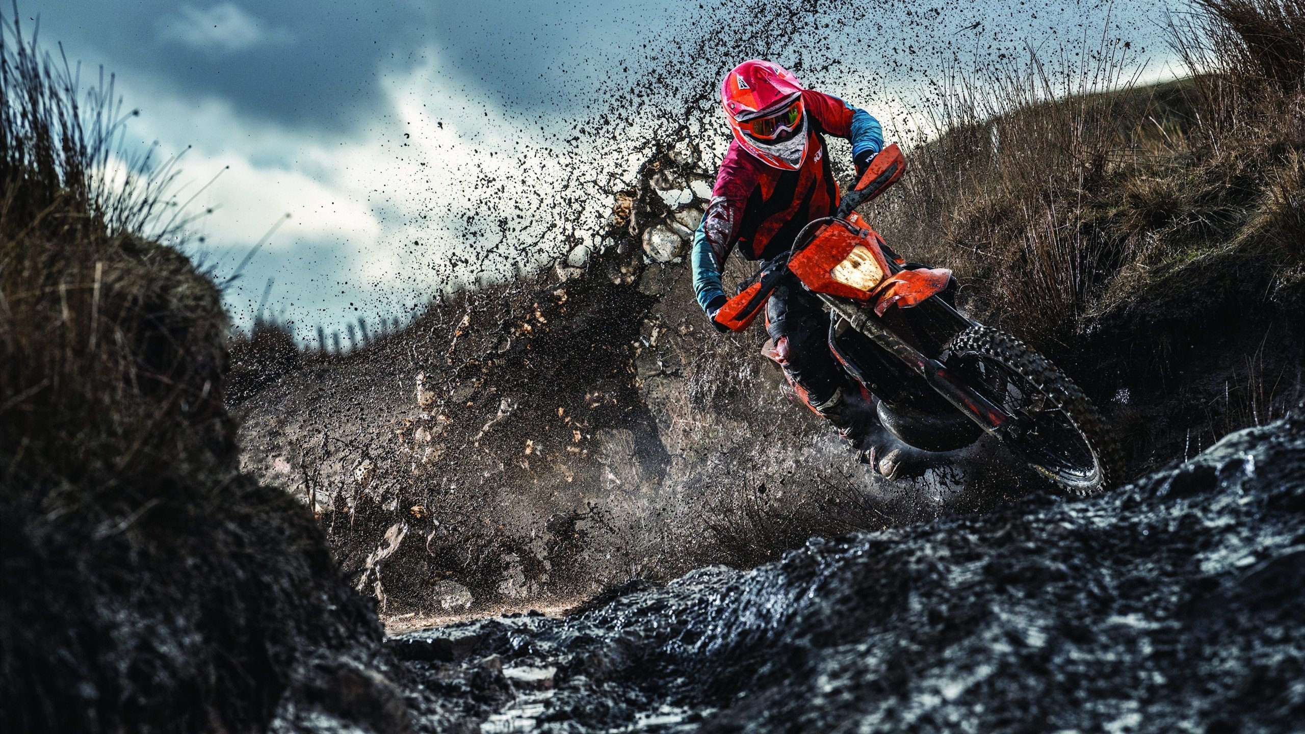 -“阿根廷美洲狮队的未来充满希望：强大阵容迎接挑战”